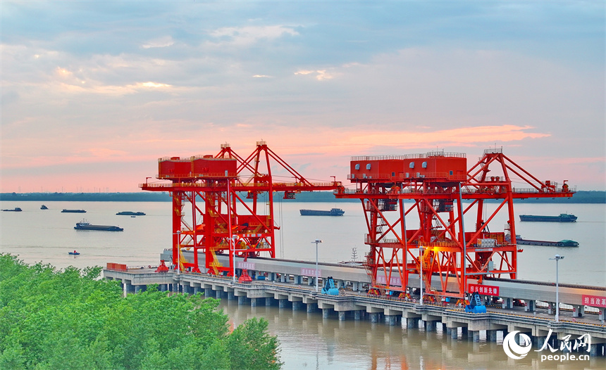 橋吊機臂林立，電煤卸船有序推進，一船船電煤經傳輸帶運至發電廠發電。人民網 朱海鵬攝