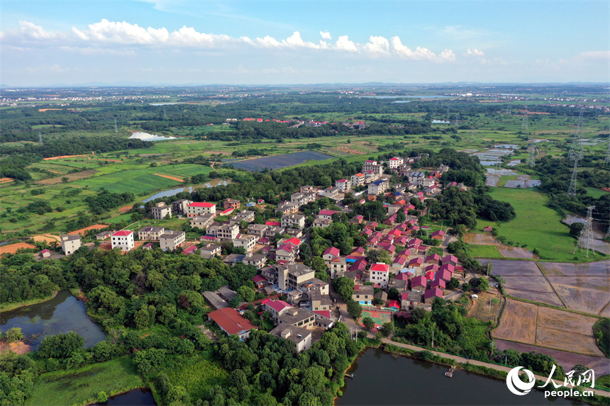 南昌紅谷灘區流湖鎮上房村的夏日田園在航拍鏡頭下呈現生機勃勃的景象。人民網記者 時雨攝