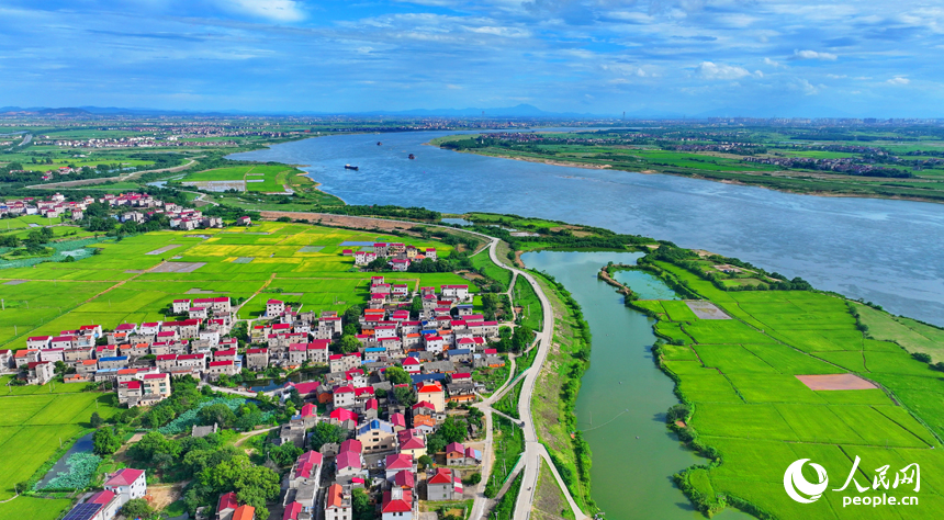 豐城市小港鎮南岸村一帶，鱗次櫛比的紅瓦頂農房與綠色田園、藍天白云相映成景。人民網 朱海鵬攝