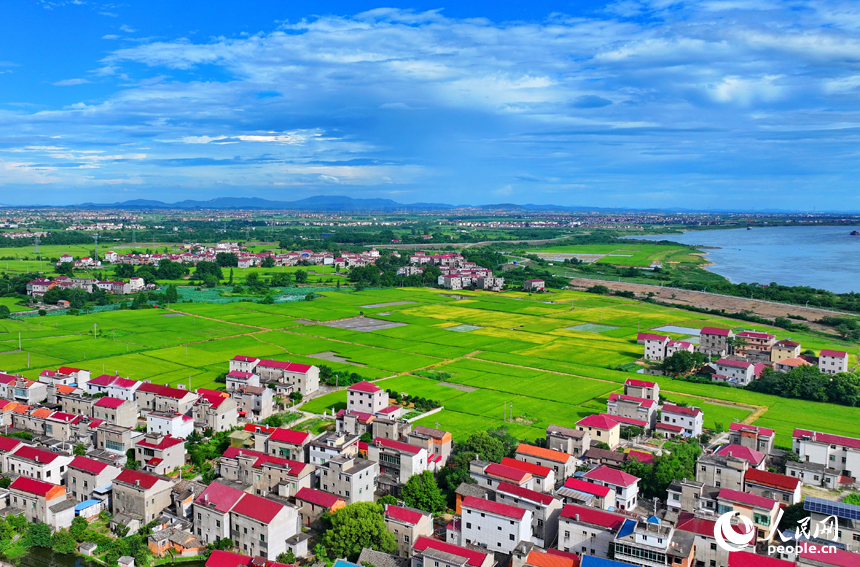 豐城市小港鎮南岸村一帶，鱗次櫛比的紅瓦頂農房與綠色田園、藍天白云相映成景。人民網 朱海鵬攝