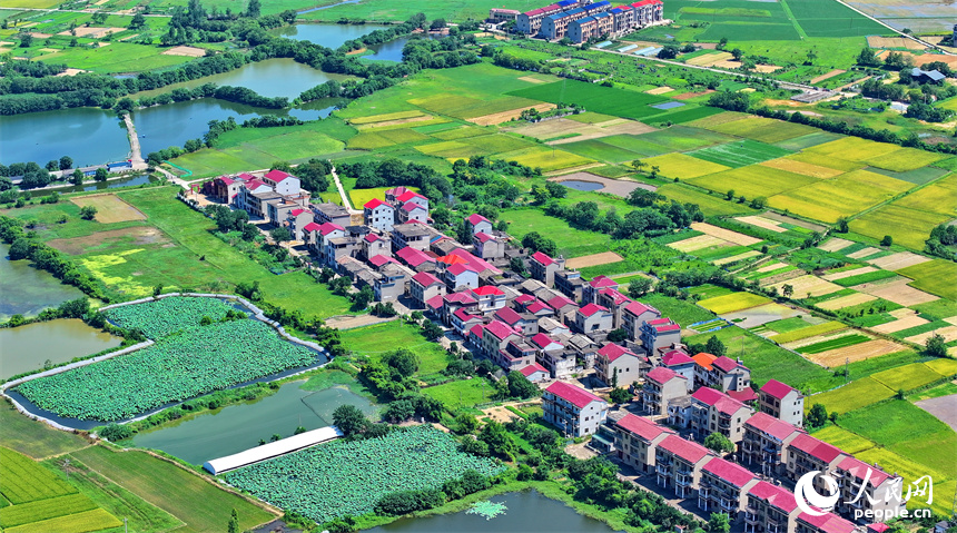 豐城市拖船鎮蛟湖村，錯落分布的房屋與河流、綠樹、農田相映成景。人民網 朱海鵬攝