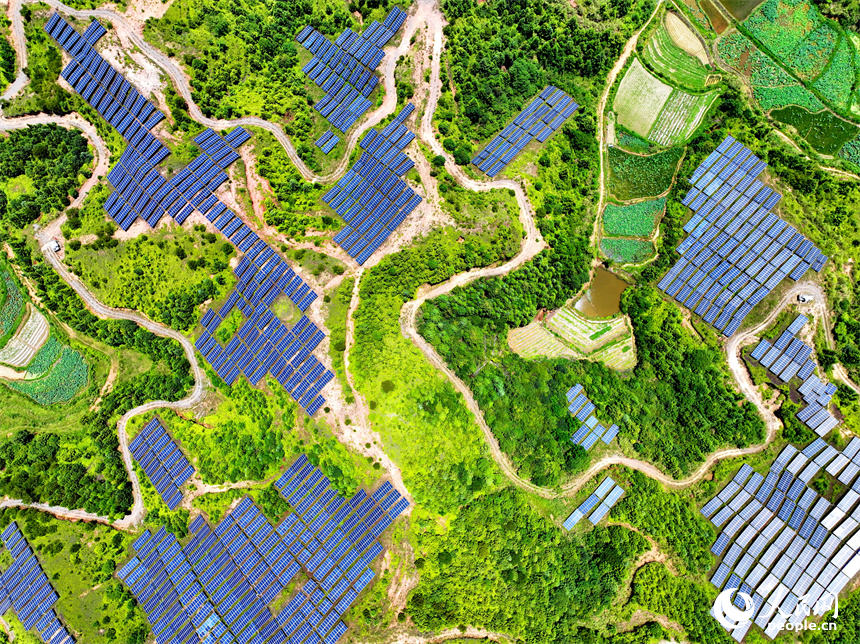 贛州市石城縣琴江鎮漢坑村的光伏發電項目基地，荒山坡上鱗次櫛比的光伏發電板蔚為壯觀。人民網 朱海鵬攝