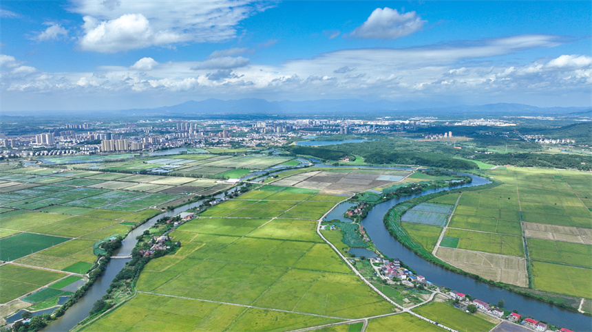 江西省共青城市金湖鄉五合村美景如畫。潘成攝