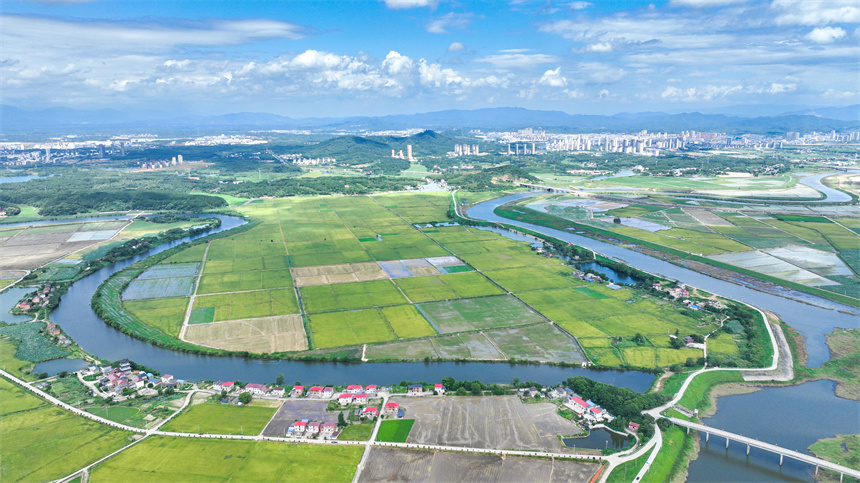 江西省共青城市金湖鄉五合村美景如畫。潘成攝