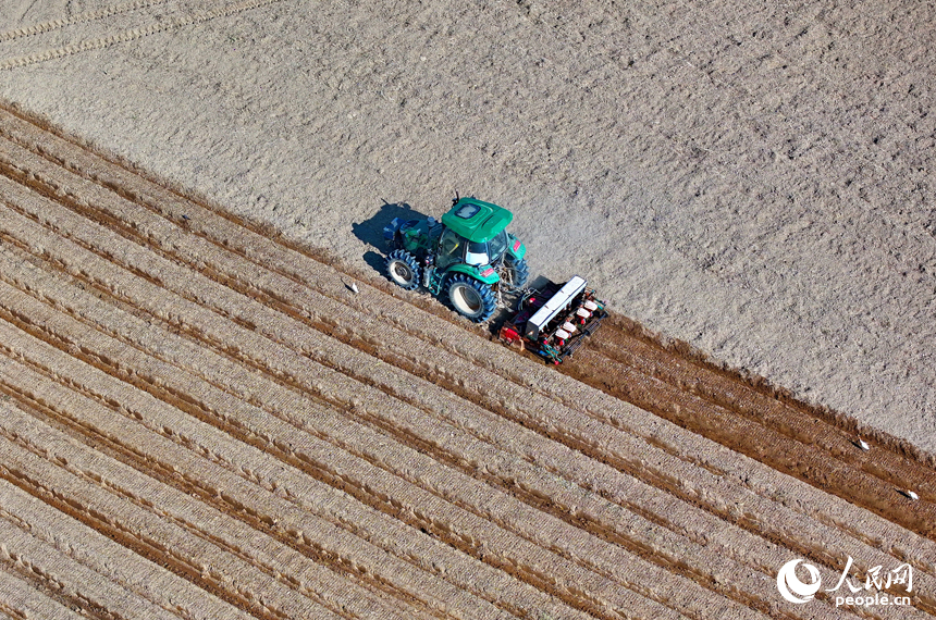 九江市永修縣涂埠鎮南洲村，合作社農機手在播種玉米。人民網 朱海鵬攝