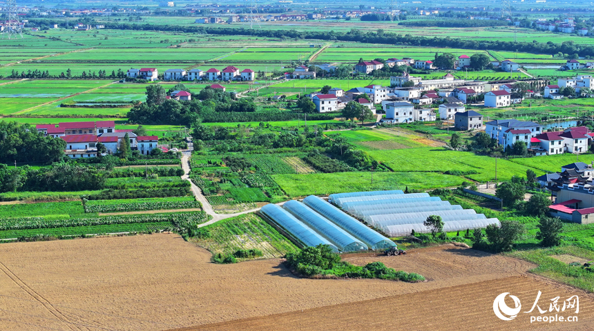 九江市永修縣涂埠鎮南洲村，合作社農機手在播種玉米。人民網 朱海鵬攝