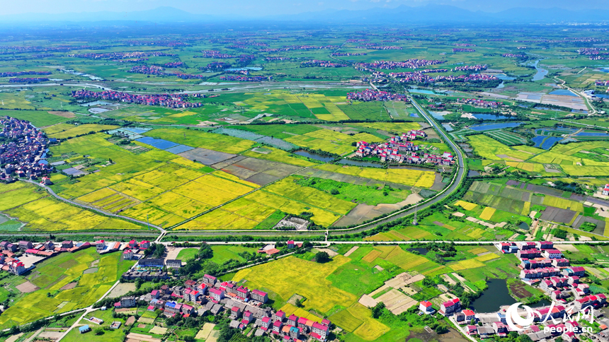 豐城市拖船鎮松湖村，公路、鐵路與周邊鄉村田園、房屋相映成景。人民網 朱海鵬攝