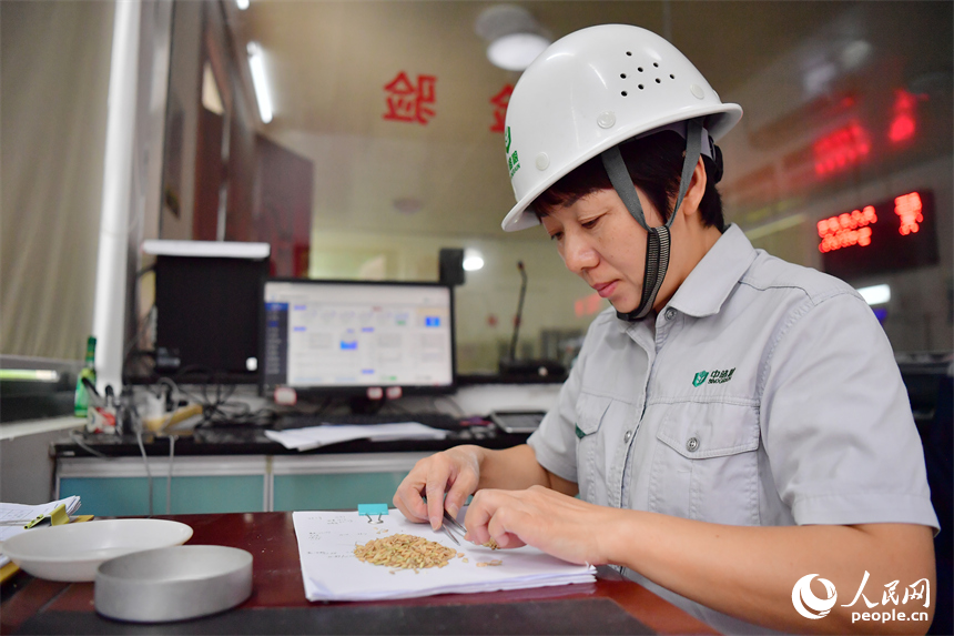 糧食質檢室內，工作人員正通過手檢的方式對扦樣的早稻進行檢驗。人民網記者 時雨攝