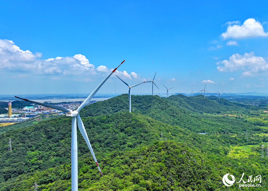 位于九江市彭澤縣的中廣核彭澤泉山風力發電項目風電場，風葉迎風旋轉，轉化成清潔電能輸入電網。人民網 朱海鵬攝