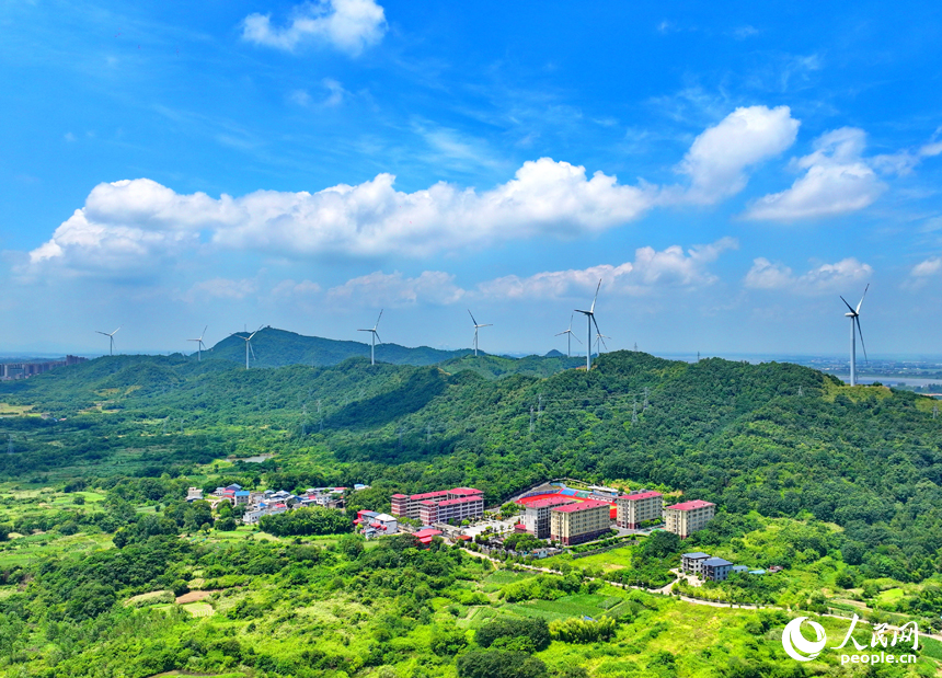 位于九江市彭澤縣的中廣核彭澤泉山風力發電項目風電場，風葉迎風旋轉，轉化成清潔電能輸入電網。人民網 朱海鵬攝