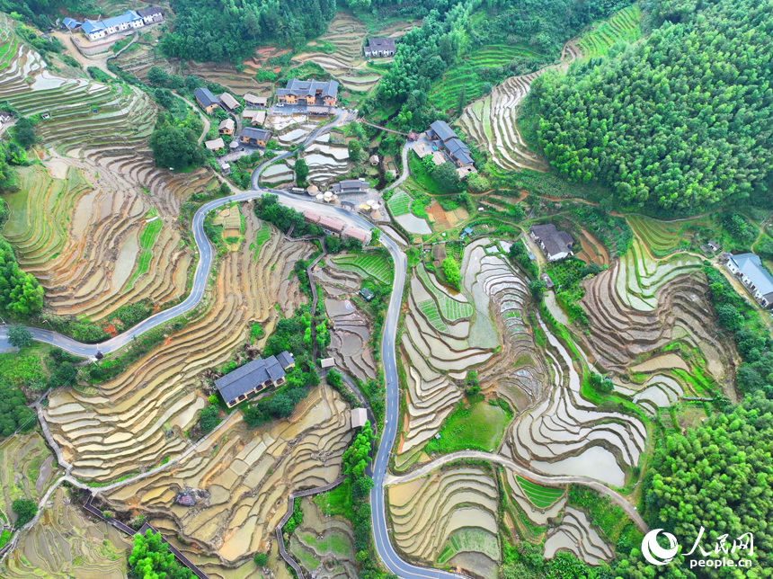 贛州市崇義縣上堡鄉上堡梯田，層層疊疊的梯田與漫山竹木、錯落民居、蜿蜒公路相互映襯。人民網 朱海鵬攝