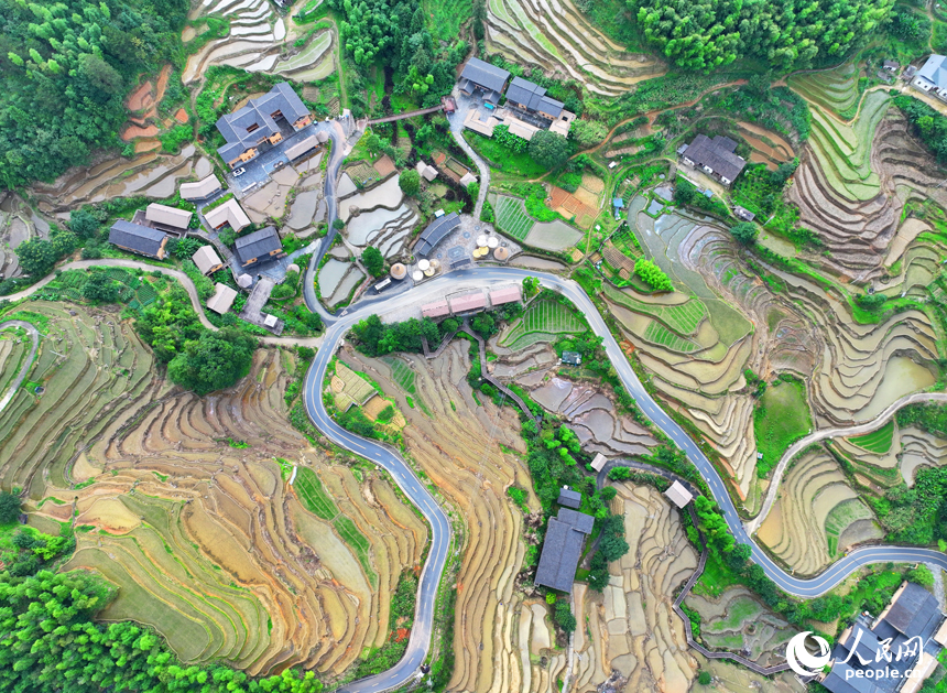 贛州市崇義縣上堡鄉上堡梯田，層層疊疊的梯田與漫山竹木、錯落民居、蜿蜒公路相互映襯。人民網 朱海鵬攝