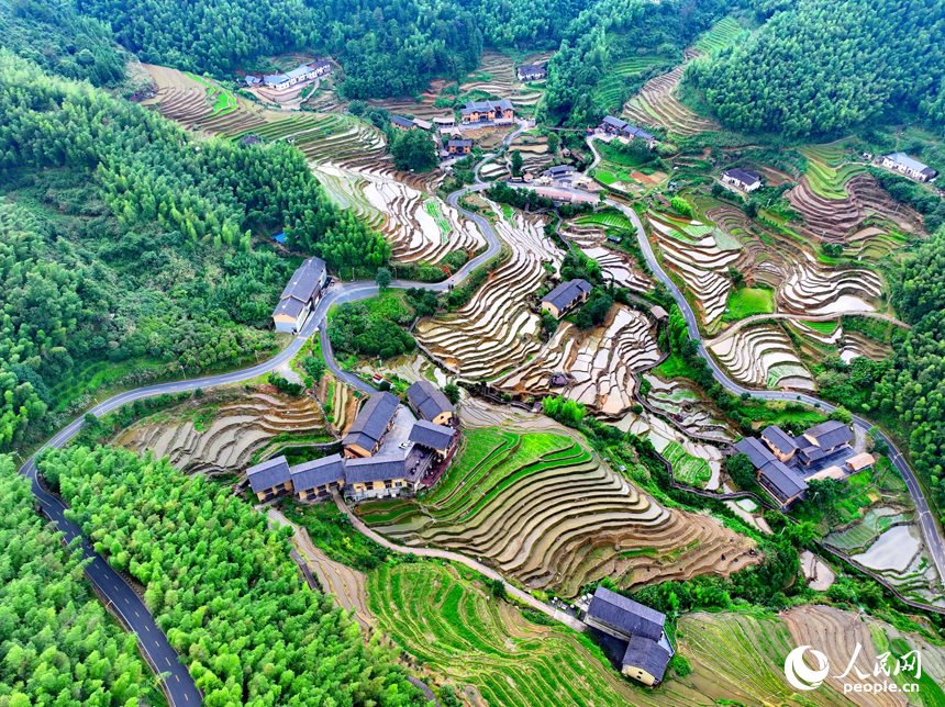 贛州市崇義縣上堡鄉上堡梯田，層層疊疊的梯田與漫山竹木、錯落民居、蜿蜒公路相互映襯。人民網 朱海鵬攝