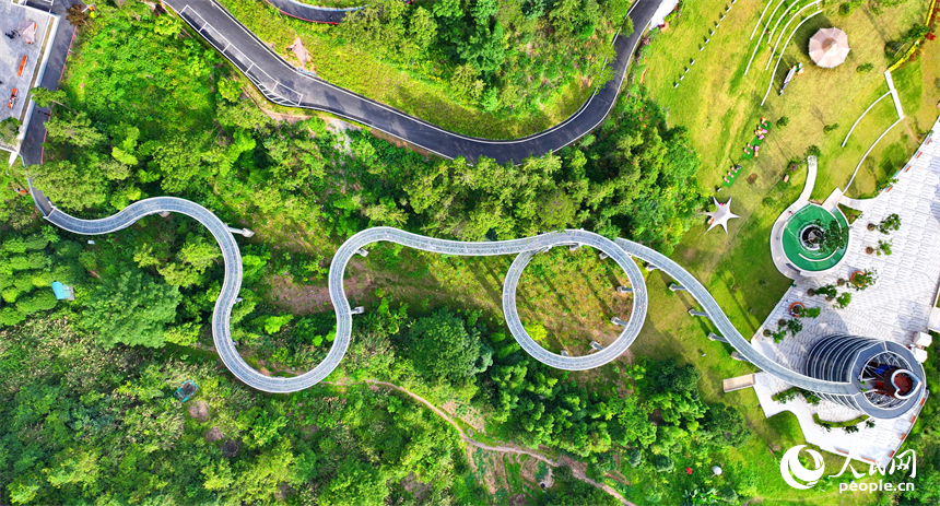 贛州市崇義縣城市森林空間，游客在鋼格柵棧道上散步游玩，觀賞綠色森林美景。人民網 朱海鵬攝