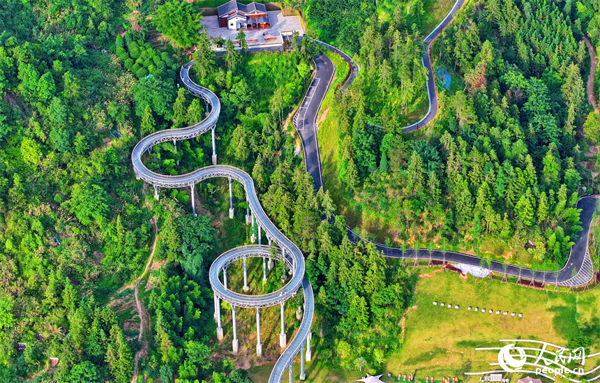 贛州市崇義縣城市森林空間，游客在鋼格柵棧道上散步游玩，觀賞綠色森林美景。人民網 朱海鵬攝