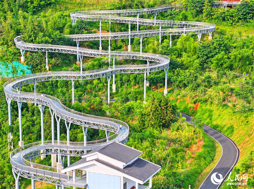 贛州市崇義縣城市森林空間，游客在鋼格柵棧道上散步游玩，觀賞綠色森林美景。人民網 朱海鵬攝