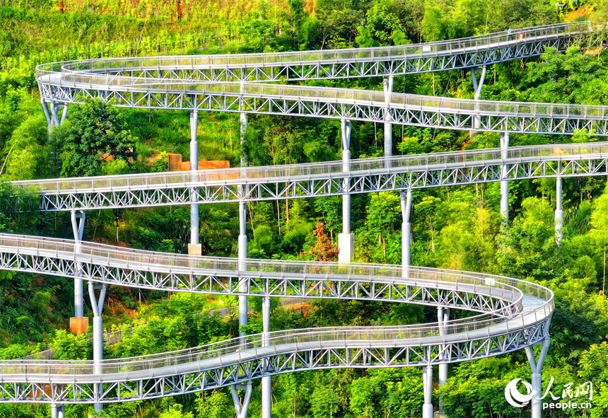 贛州市崇義縣城市森林空間，游客在鋼格柵棧道上散步游玩，觀賞綠色森林美景。人民網 朱海鵬攝