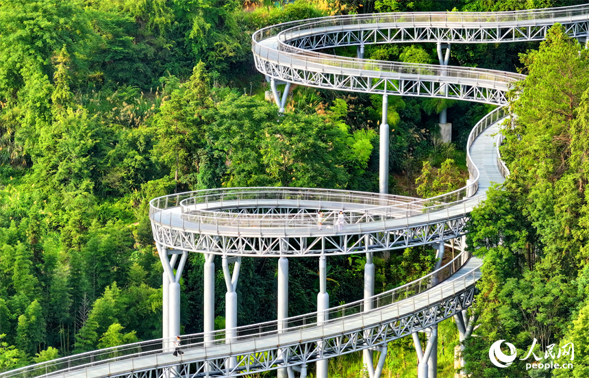 贛州市崇義縣城市森林空間，游客在鋼格柵棧道上散步游玩，觀賞綠色森林美景。人民網 朱海鵬攝