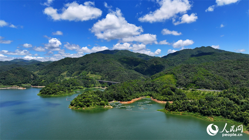 贛州市尋烏縣三標鄉的東江源水庫，種植菖蒲、黃花鶯尾等凈水植物的生態浮床如同花瓣漂浮在水面。人民網 朱海鵬攝
