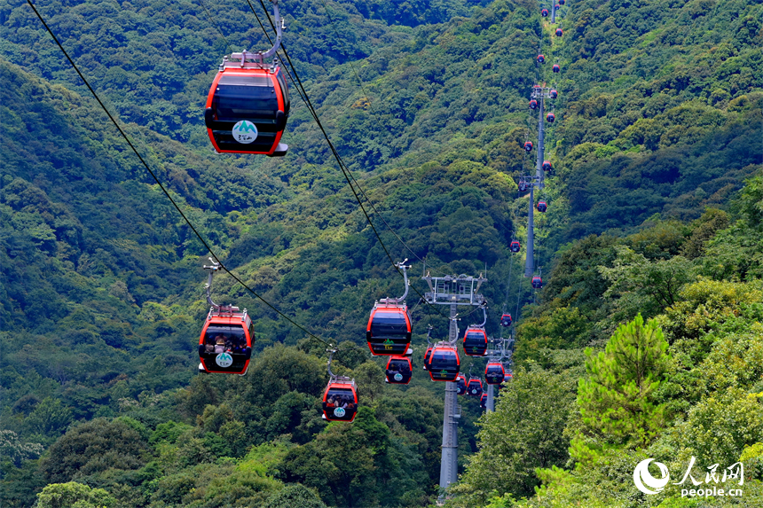 贛州市安遠縣三百山，許多游客搭乘纜車前來景區游玩。人民網 朱海鵬攝