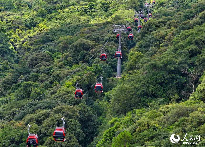 贛州市安遠縣三百山，許多游客搭乘纜車前來景區游玩。人民網 朱海鵬攝