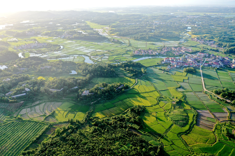 上高縣新界埠鎮五星村，夕陽與田壟、公路、民居、河流構成一幅田園風光畫。陳旗海攝