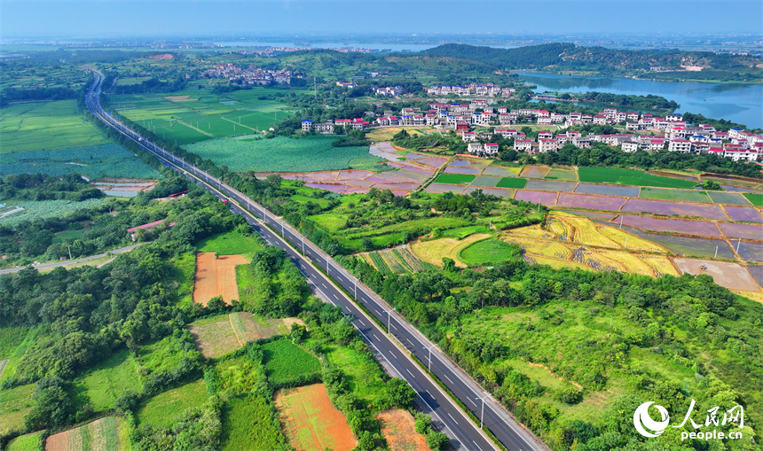豐城市同田鄉，豐厚一級公路穿村而過，公路沿線的農房、田園、河流、樹木相互映襯，夏景如畫。人民網 朱海鵬攝