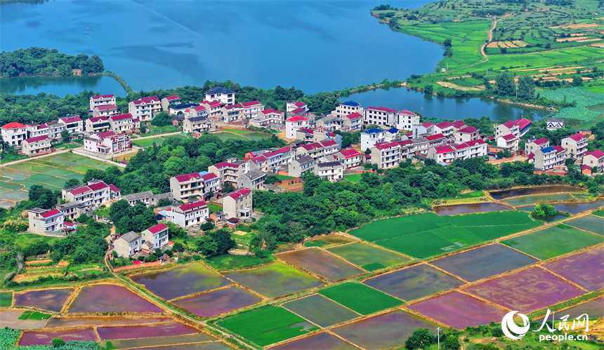 豐城市同田鄉，豐厚一級公路穿村而過，公路沿線的農房、田園、河流、樹木相互映襯，夏景如畫。人民網 朱海鵬攝
