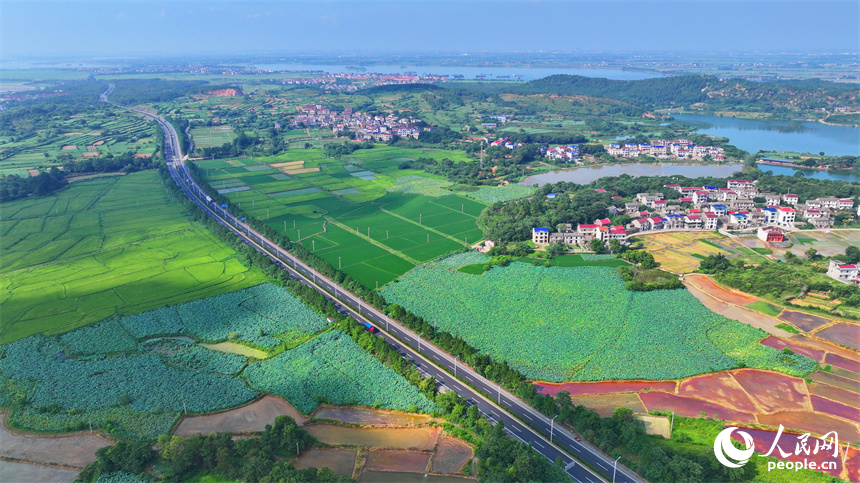 豐城市同田鄉，豐厚一級公路穿村而過，公路沿線的農房、田園、河流、樹木相互映襯，夏景如畫。人民網 朱海鵬攝