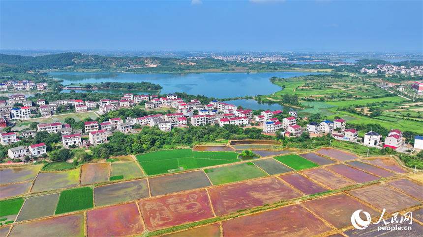 豐城市同田鄉，豐厚一級公路穿村而過，公路沿線的農房、田園、河流、樹木相互映襯，夏景如畫。人民網 朱海鵬攝