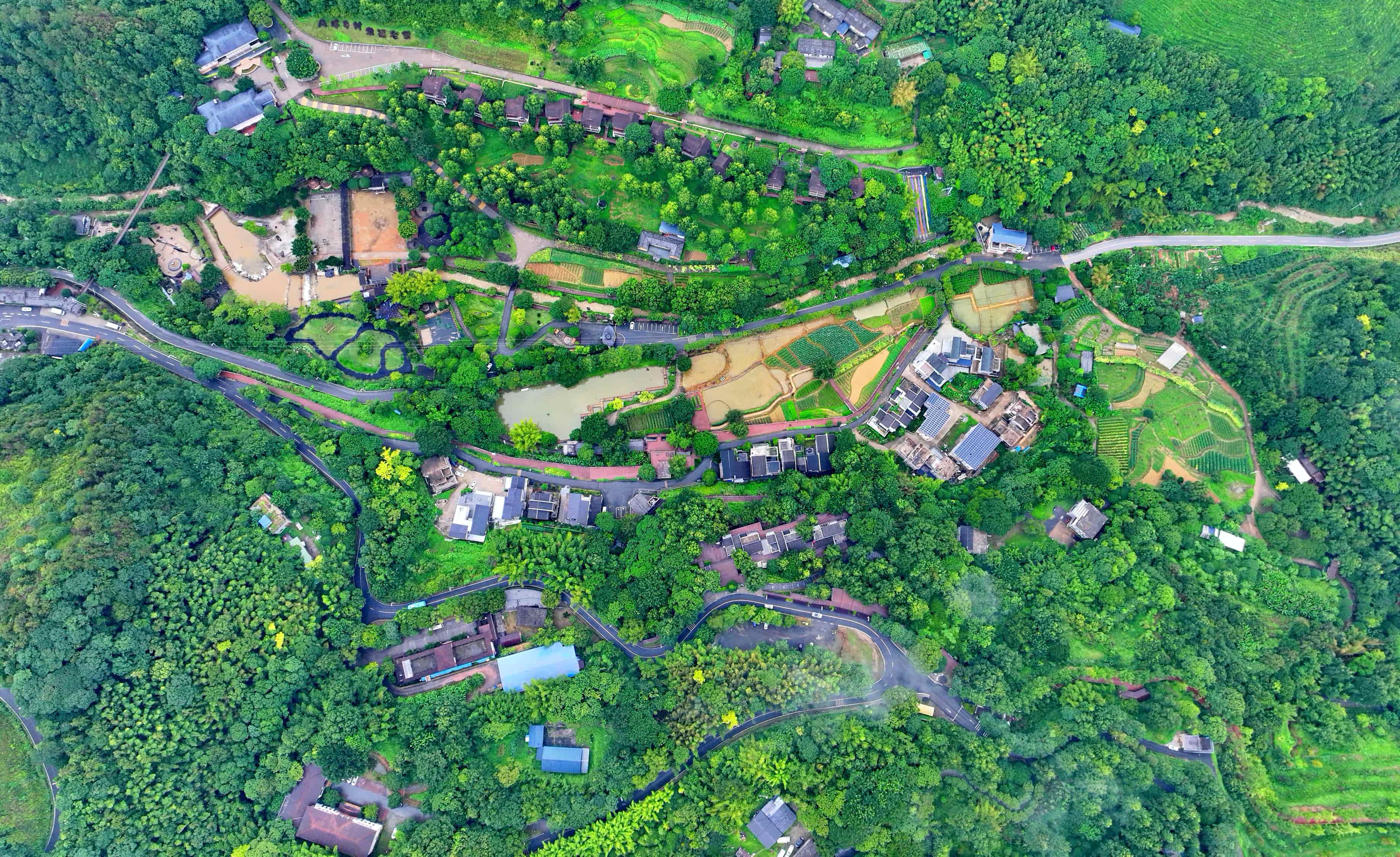 贛州市大余縣黃龍鎮大龍村丫山，通村公路沿線綠樹成蔭、民宿林立，許多游客驅車前來游玩。人民網 朱海鵬攝