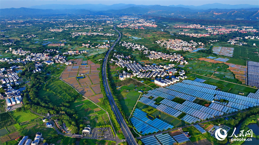 瑞金市黃柏鄉柏村村的果蔬專業合作社，整齊排列的鋼架薄膜大棚與村莊房屋、綠樹群山相互映襯。人民網 朱海鵬攝