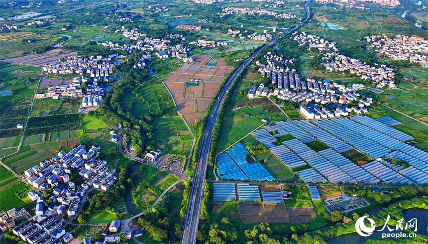 瑞金市黃柏鄉柏村村的果蔬專業合作社，整齊排列的鋼架薄膜大棚與村莊房屋、綠樹群山相互映襯。人民網 朱海鵬攝