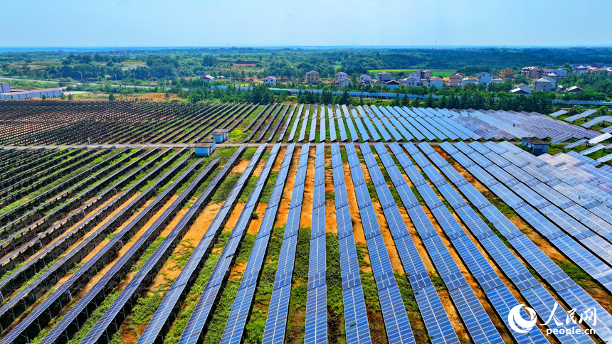 南昌市紅谷灘區厚田鎮的一處光伏發電站，連片安裝的光伏發電板整齊排列，源源不斷地向電網輸送電能。人民網 朱海鵬攝