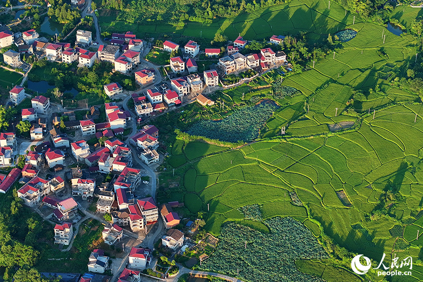 撫州市廣昌縣旴江鎮小港村，旴江河與田園、村莊、橋梁相映成景，宛如一幅秋日山水畫卷。人民網 朱海鵬攝