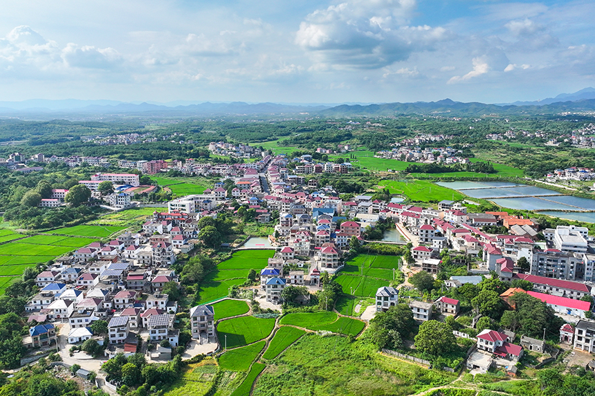 江西共青城市，廣袤的農村大地上一片綠意盎然，山清水秀，呈現出一派生機勃勃的景象。潘成攝