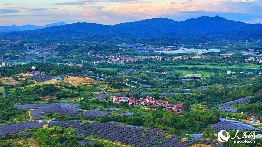 撫州市南豐縣萊溪鄉西山村“農光互補”光伏發電站，荒山坡上安裝的光伏板熠熠生輝，與綠樹青山相映相襯。人民網 朱海鵬攝