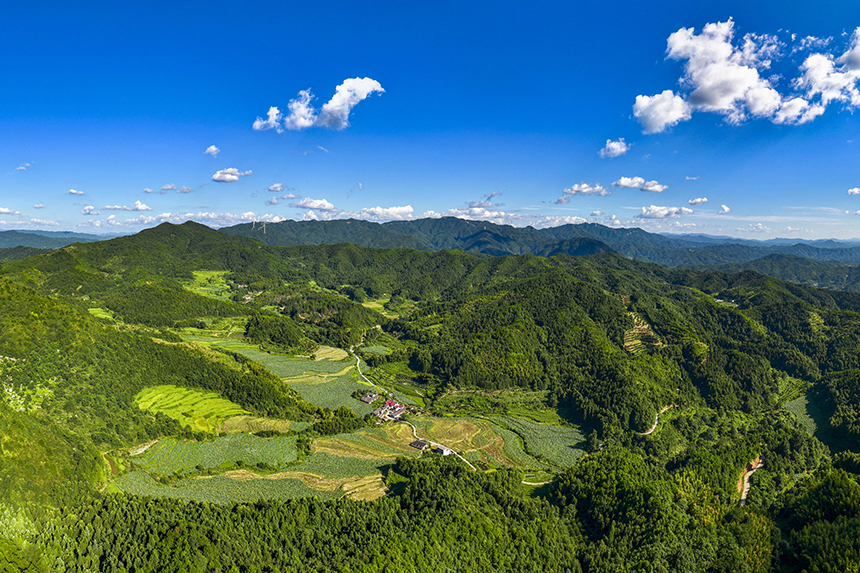 航拍鏡頭下的塘家山村，一派美麗的生態田園畫卷。謝東攝