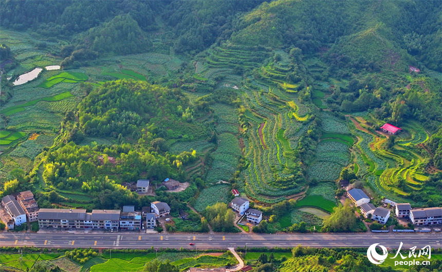 瑞金市日東鄉，蜿蜒向前的“四好農村路”與田野、山巒、碧水相映成景。人民網 朱海鵬攝