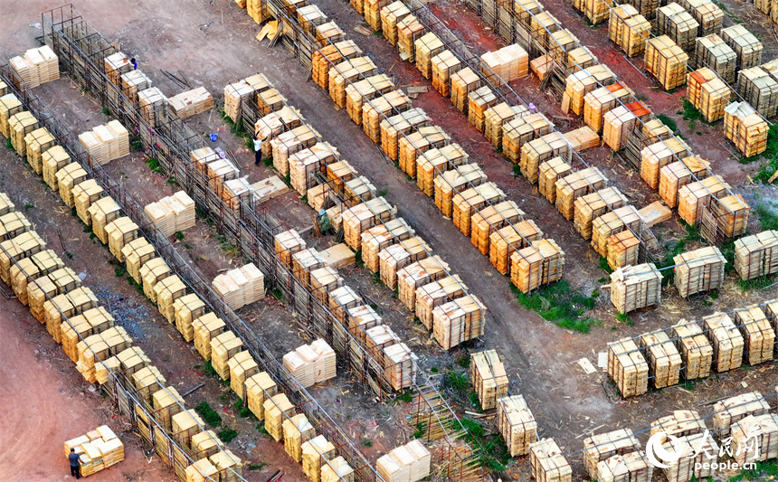 撫州市南豐縣琴江鎮的一處板材加工基地，村民利用晴好天氣的有利時機在晾曬板材半成品。人民網 朱海鵬攝
