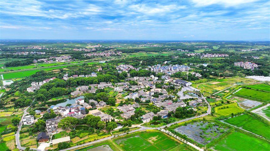 江西省吉安市吉水縣金灘鎮燕坊古村秋色宜人，眾多徽派古宅錯落有致。廖敏攝