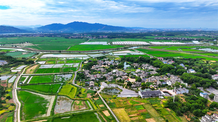 江西省吉安市吉水縣金灘鎮燕坊古村秋色宜人，眾多徽派古宅錯落有致。廖敏攝