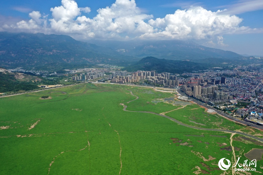 航拍鏡頭下，鄱陽湖廬山市水域成為“草原”。人民網記者 時雨攝
