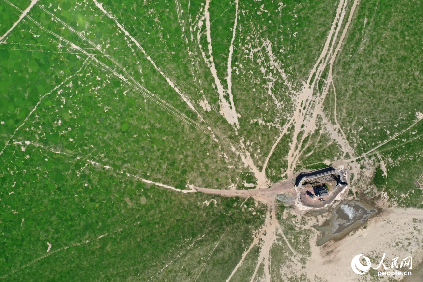 受鄱陽湖低水位影響，往年同期淹沒在湖水中的落星墩今年矗立在“草原”之中。人民網記者 時雨攝
