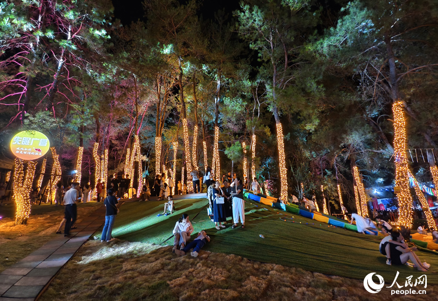 夜晚的荷源公園燈光璀璨，民眾在林下納涼。人民網記者 時雨攝