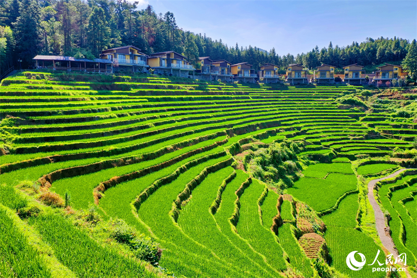 贛州市崇義縣上堡鄉，層層疊疊的梯田沿山勢綿亙蜿蜒，與錯落有致的農房、民宿相互映襯。人民網 朱海鵬攝