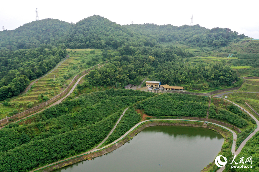 采礦區經過生態修復后披上“綠裝”。人民網記者 時雨攝