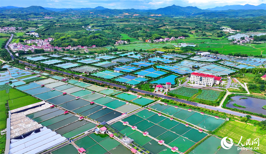 撫州市南豐縣太和鎮丹陽村，車輛行駛在通村公路上，沿線農房、魚塘、稻田、群山相映成畫。人民網 朱海鵬攝