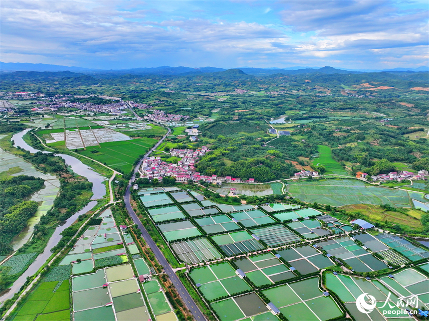 撫州市南豐縣太和鎮丹陽村，車輛行駛在通村公路上，沿線農房、魚塘、稻田、群山相映成畫。人民網 朱海鵬攝