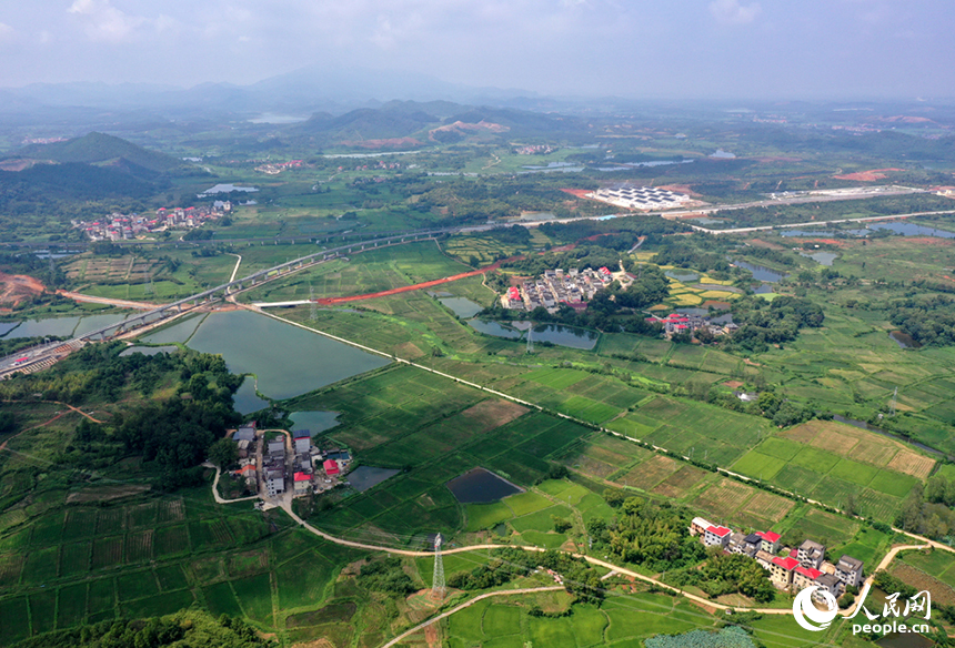 航拍鏡頭下，初秋時節的上高縣蘆洲鄉上新村宛如一幅精心繪制的田園畫卷。 人民網記者 時雨攝